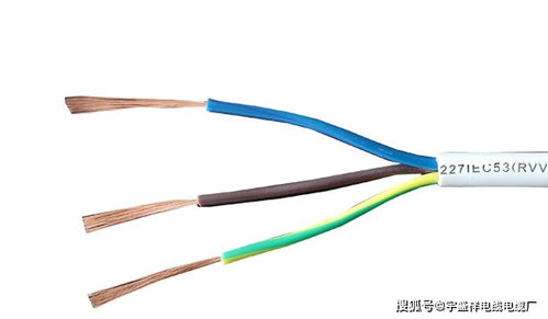 电线电缆 你了解三芯护套线吗